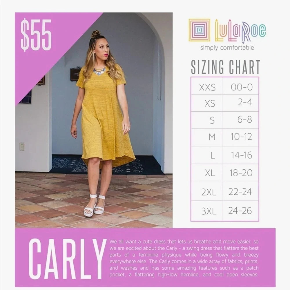 LuLaRoe Carly Floral Print Navy and Red Short Sleeve High-Low Swing Dress - S